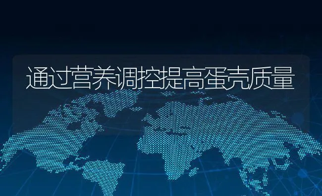 通过营养调控提高蛋壳质量 | 动物养殖学堂