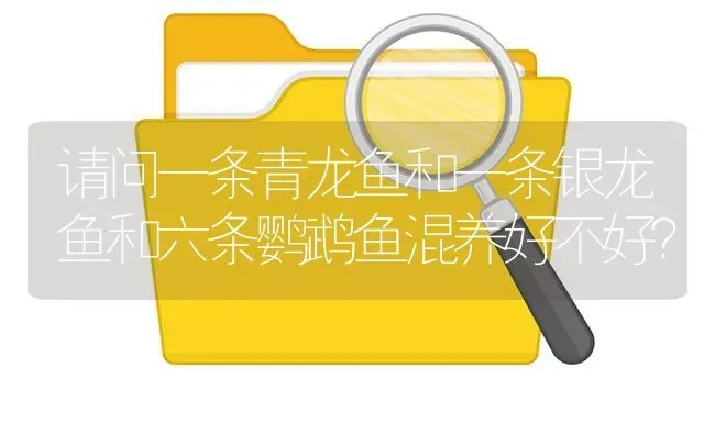 请问一条青龙鱼和一条银龙鱼和六条鹦鹉鱼混养好不好？ | 鱼类宠物饲养