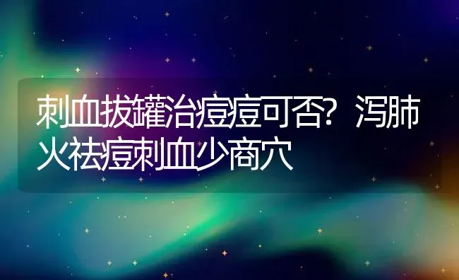 刺血拔罐治痘痘可否?泻肺火祛痘刺血少商穴 | 动物养殖百科