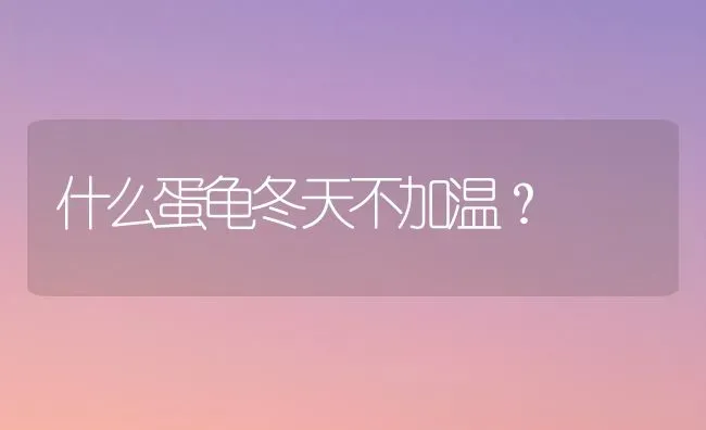 什么蛋龟冬天不加温？ | 动物养殖问答