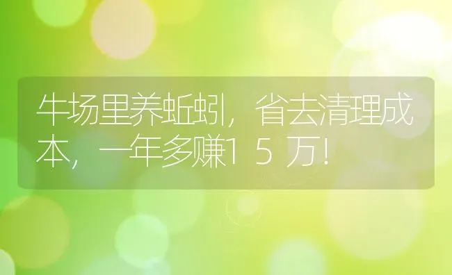 牛场里养蚯蚓，省去清理成本，一年多赚15万！ | 动物养殖百科