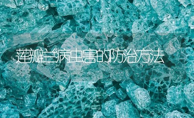 莲瓣兰病虫害的防治方法 | 海水养殖技术