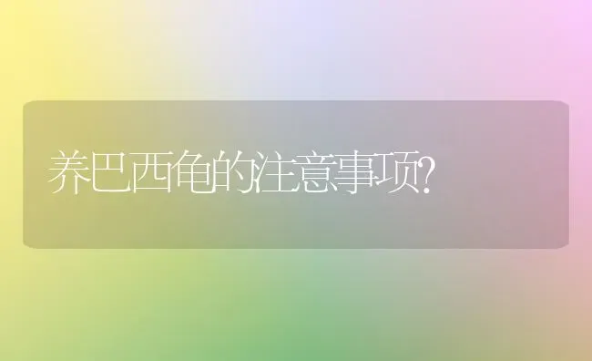 养巴西龟的注意事项？ | 动物养殖问答