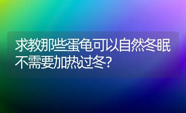 求教那些蛋龟可以自然冬眠不需要加热过冬？ | 动物养殖问答