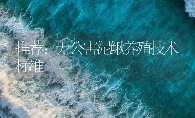 推荐：无公害泥鳅养殖技术标准 | 海水养殖技术