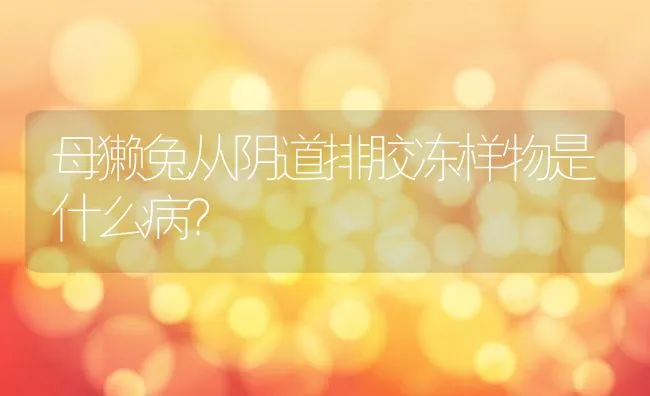 母獭兔从阴道排胶冻样物是什么病？ | 水产养殖知识