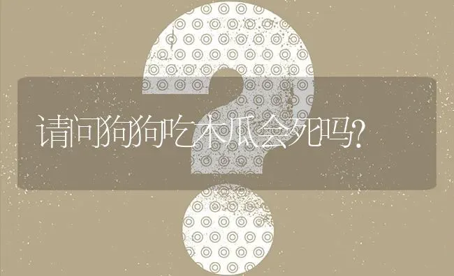 请问狗狗吃木瓜会死吗？ | 动物养殖问答