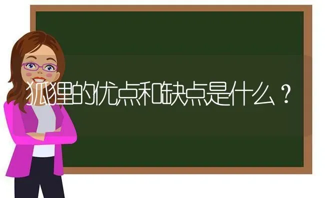 狐狸的优点和缺点是什么？ | 动物养殖问答