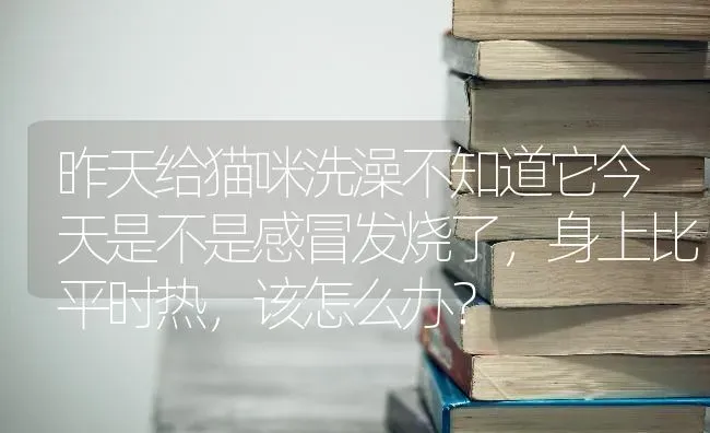 昨天给猫咪洗澡不知道它今天是不是感冒发烧了，身上比平时热，该怎么办？ | 动物养殖问答