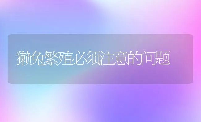 虾池养殖石鲽鱼技术要点 | 海水养殖技术