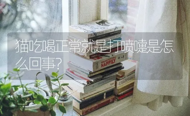 猫吃喝正常就是打喷嚏是怎么回事？ | 动物养殖问答