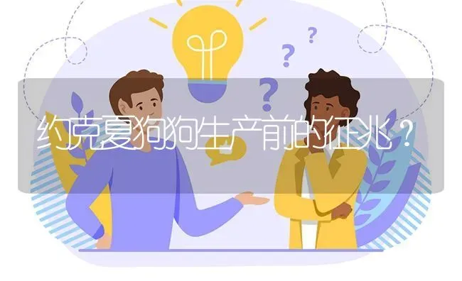 约克夏狗狗生产前的征兆？ | 动物养殖问答