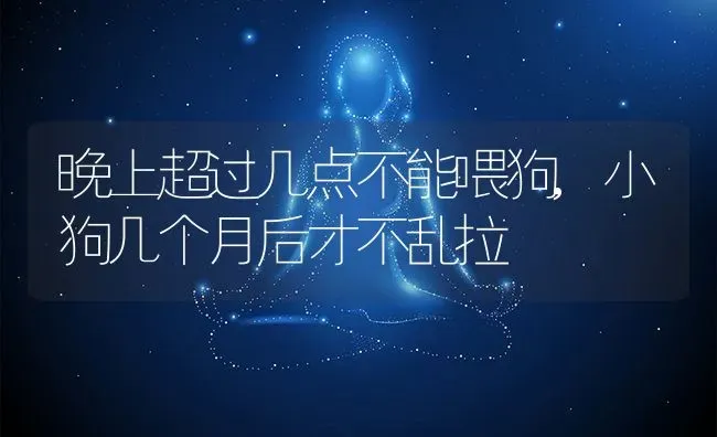 晚上超过几点不能喂狗,小狗几个月后才不乱拉 | 宠物百科知识