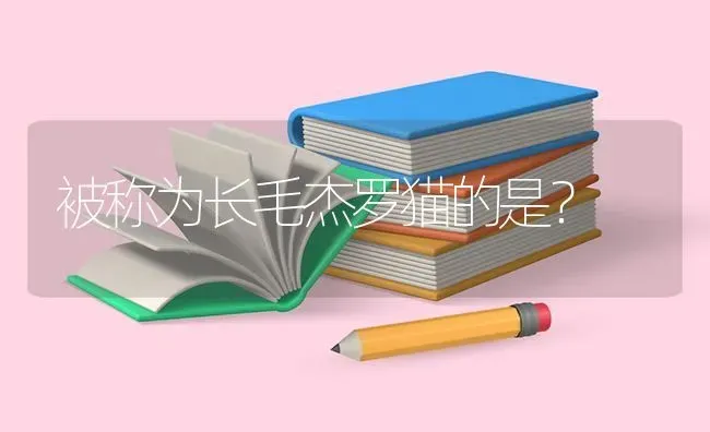 被称为长毛杰罗猫的是？ | 动物养殖问答