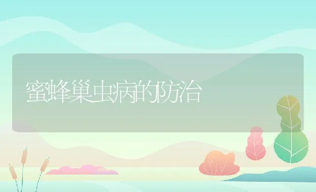 蜜蜂巢虫病的防治 | 水产养殖知识