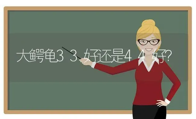 大鳄龟33好还是44好？ | 动物养殖问答