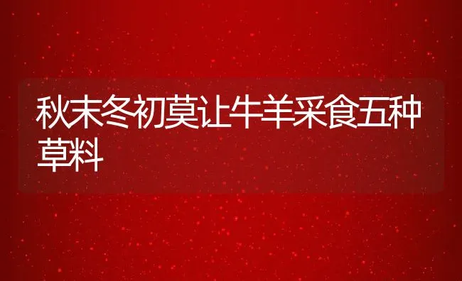 秋末冬初莫让牛羊采食五种草料 | 动物养殖饲料