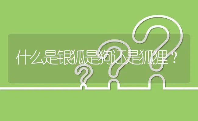 母的比熊犬隔多少时间来一次月经，一次月经来多久？ | 动物养殖问答