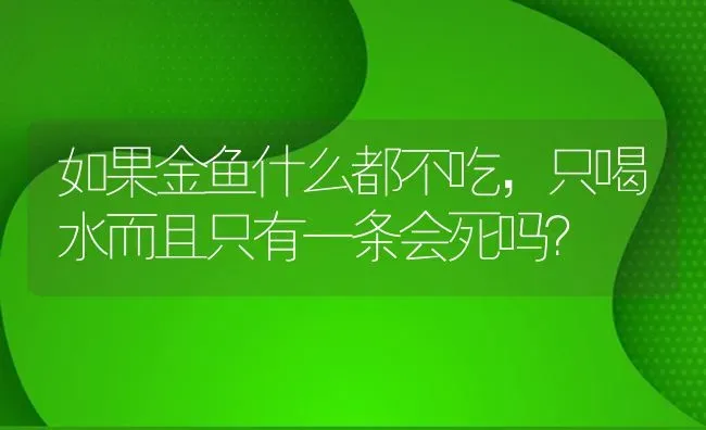 如果金鱼什么都不吃，只喝水而且只有一条会死吗？ | 鱼类宠物饲养