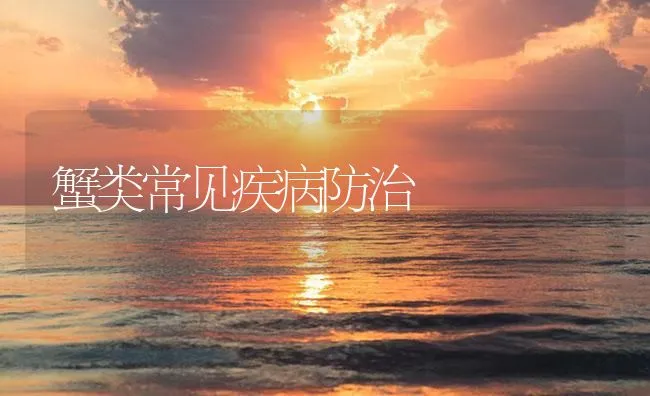 蟹类常见疾病防治 | 海水养殖技术