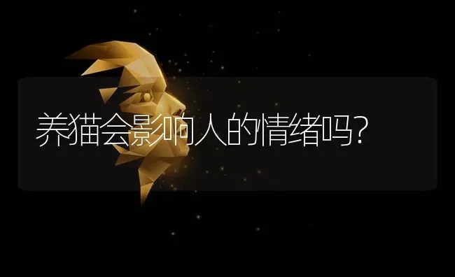 养猫会影响人的情绪吗？ | 动物养殖问答