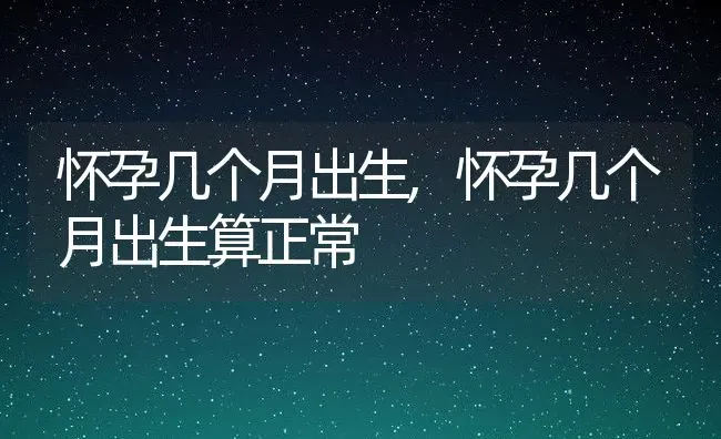 怀孕几个月出生,怀孕几个月出生算正常 | 宠物百科知识