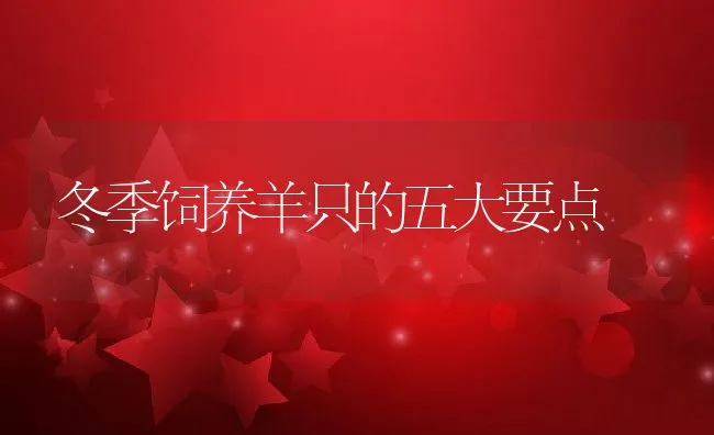 冬季饲养羊只的五大要点 | 动物养殖学堂