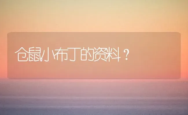 仓鼠小布丁的资料？ | 动物养殖问答