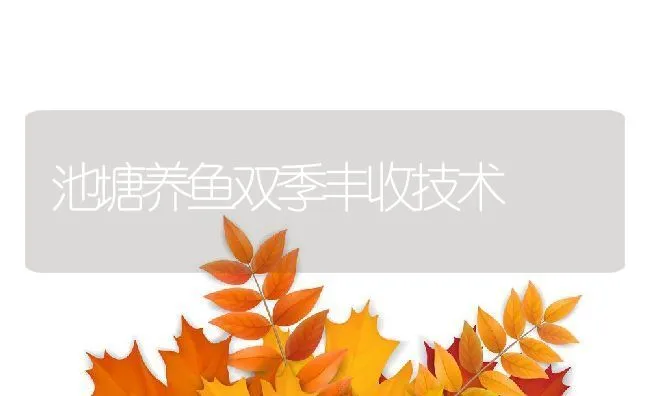 池塘养鱼双季丰收技术 | 动物养殖饲料