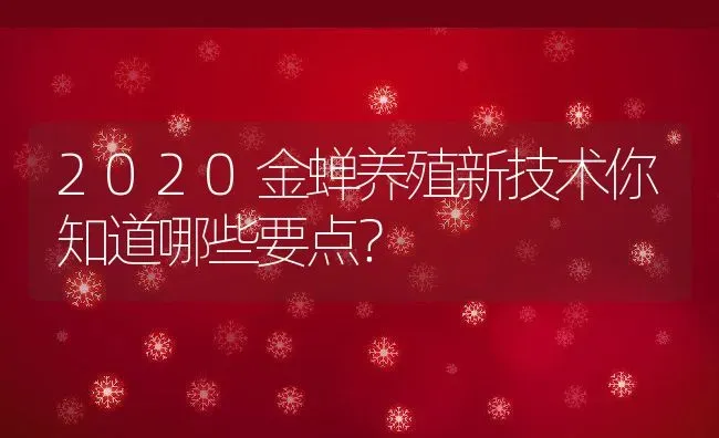 2020金蝉养殖新技术你知道哪些要点？ | 动物养殖百科