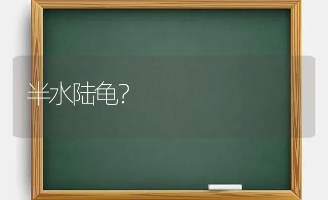 半水陆龟？ | 动物养殖问答