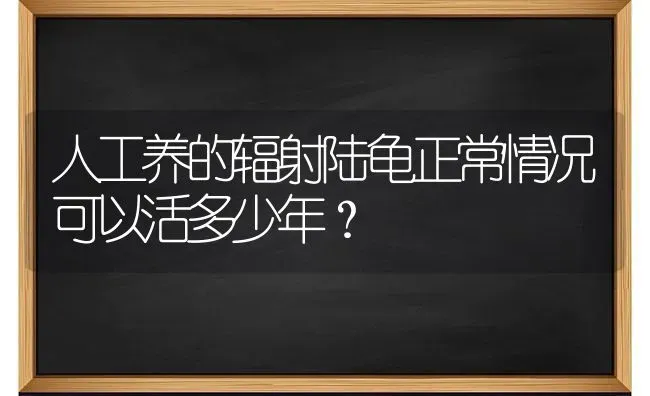 人工养的辐射陆龟正常情况可以活多少年？ | 动物养殖问答