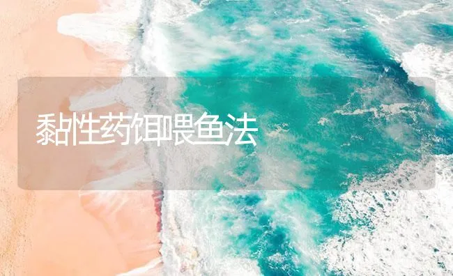 黏性药饵喂鱼法 | 海水养殖技术