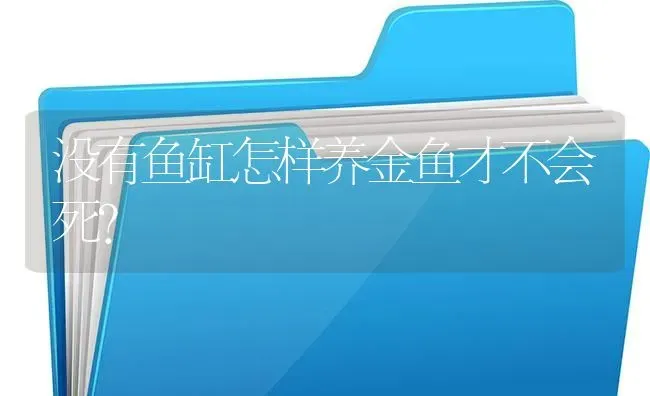 没有鱼缸怎样养金鱼才不会死？ | 鱼类宠物饲养