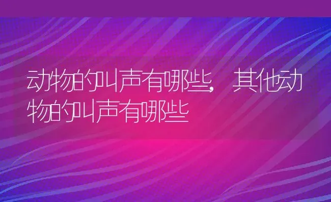 动物的叫声有哪些,其他动物的叫声有哪些 | 宠物百科知识