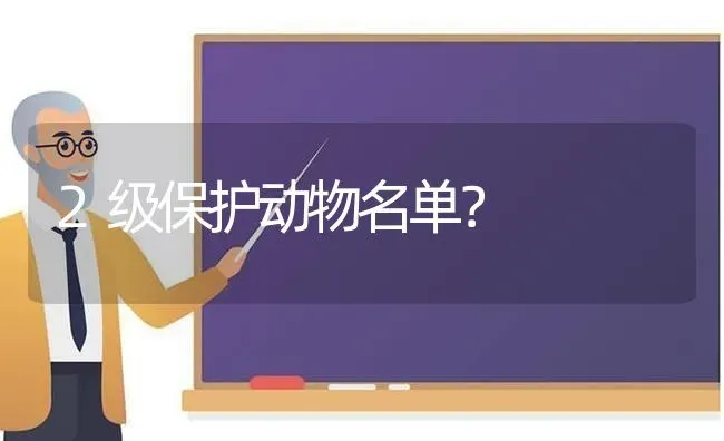 比熊串柯基长什么样子？ | 动物养殖问答