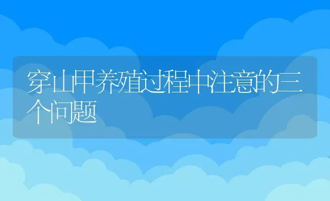 穿山甲养殖过程中注意的三个问题 | 动物养殖教程