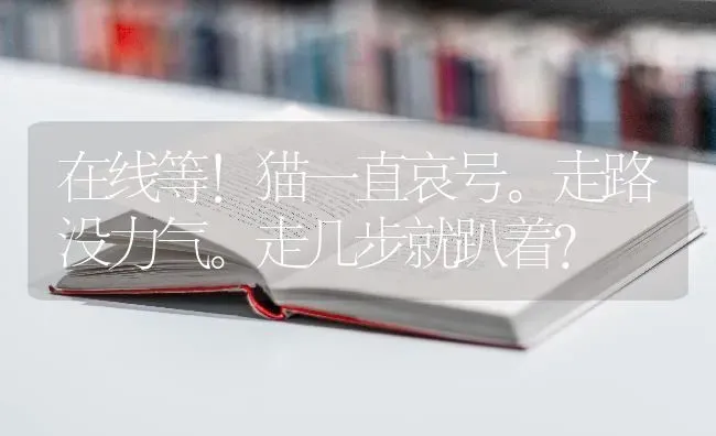 什么品牌的logo是个戴眼镜的狗？ | 动物养殖问答