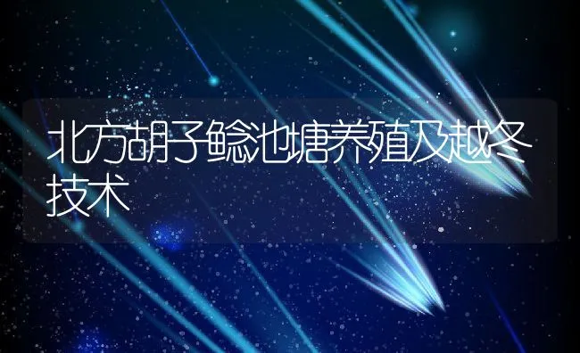 北方胡子鲶池塘养殖及越冬技术 | 动物养殖饲料