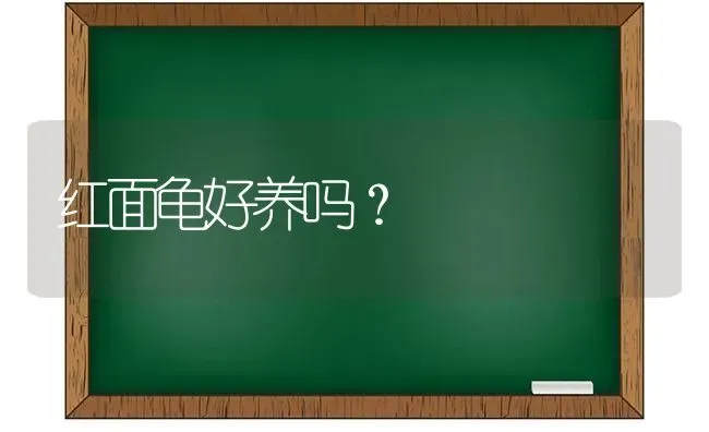 红面龟好养吗？ | 动物养殖问答