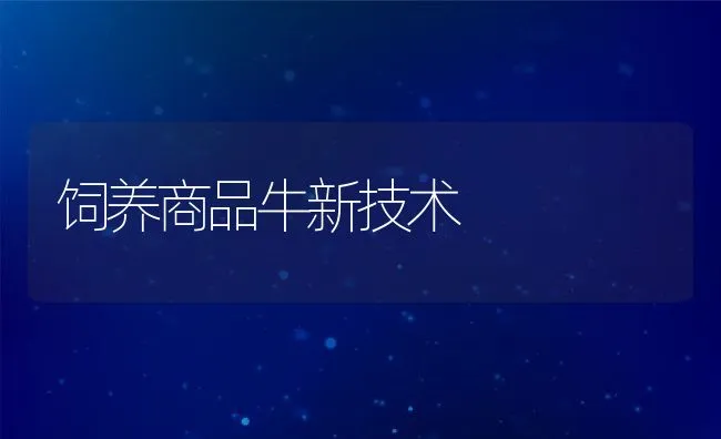 饲养商品牛新技术 | 动物养殖饲料