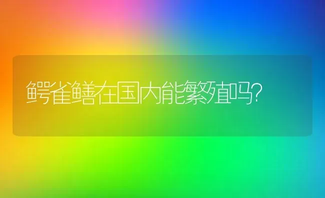 鳄雀鳝在国内能繁殖吗？ | 鱼类宠物饲养