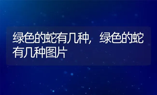 绿色的蛇有几种,绿色的蛇有几种图片 | 宠物百科知识