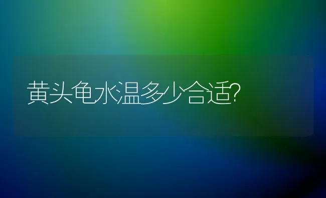 黄头龟水温多少合适？ | 动物养殖问答