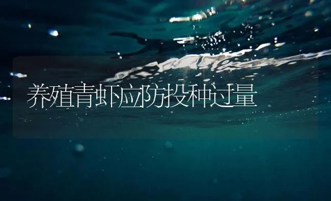 养殖青虾应防投种过量 | 海水养殖技术