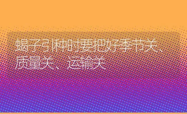 蝎子引种时要把好季节关、质量关、运输关 | 动物养殖百科