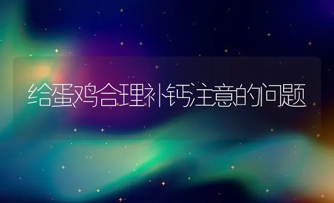 给蛋鸡合理补钙注意的问题 | 动物养殖学堂