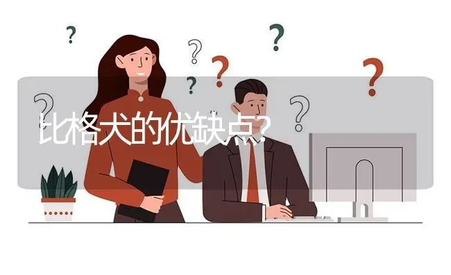 比格犬的优缺点？ | 动物养殖问答