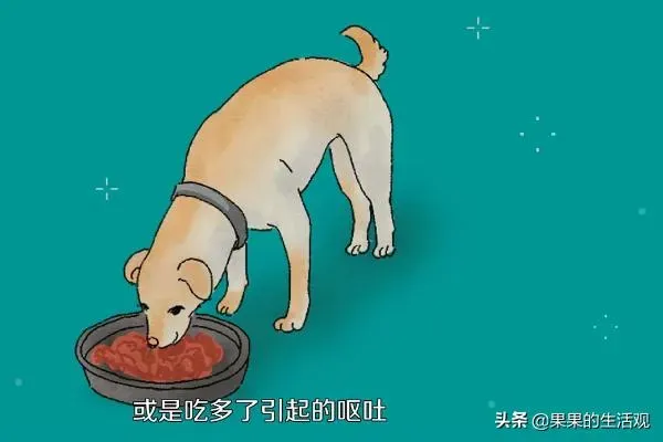 狗狗吐了一滩白色泡沫粘液,狗狗吐白沫黏液怎么办？