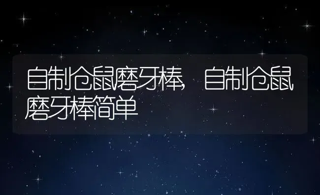 自制仓鼠磨牙棒,自制仓鼠磨牙棒简单 | 宠物百科知识